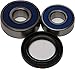 All Balls Wheel Bearing and Seal Kit