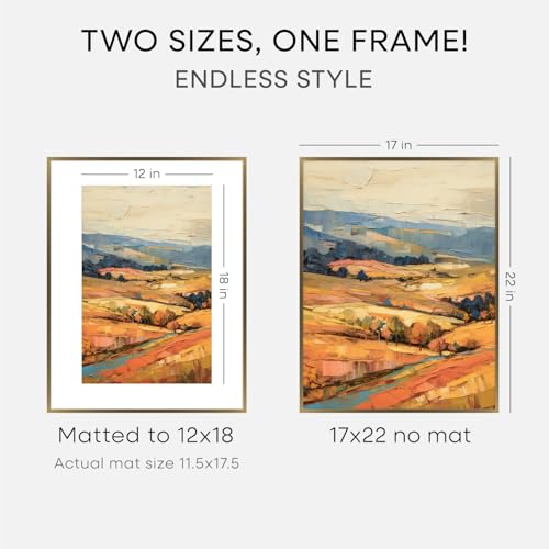 Image of Homeforia 17x22 Picture Frame Bronze, High End Metal 17x22 Brass Poster Frames with Mat 12x18 Photo, 17 x 22 Frame Matted to 12 by 18 inch Print, 22by17 Thin Frames, Tempered Glass, Wall Kit, Set of 2