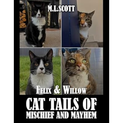 Felix & Willow cat tails of mischief and mayhem
