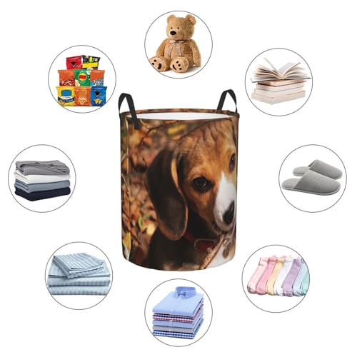 Panier à linge haut imprimé beagle pour rangement de couvertures - 7