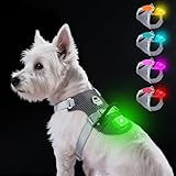Taglory Light Up Dog Harness with Airtag Holder, No Pull LED Dog Harness Rechargeable with 4 Lighting Modes for Night Walking, Adjustable Lighted Puppy Safety Vest for Small Dogs (Slate Gray, S)