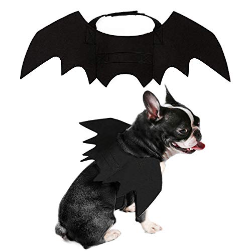 PEDOMUS Hundekostüm Halloween Kostüm Hund Katze Vampir Fledermaus Flügel Kostüme Medium