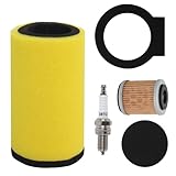 Podoy 1YW-14451-00-00 Air Oil Filter for Yamaha Timberwolf 250 Big Bear 350 Moto-4 250 350 Kodiak 400 Big Bear 350 Big Bear 4x4 1987-1999 with Spark Plug