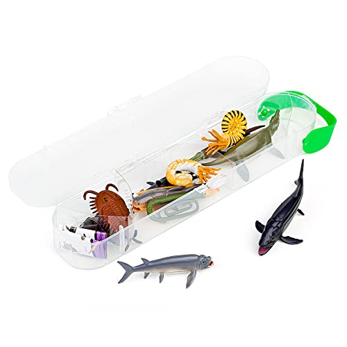Collecta - Tubo Animales Marinos Prehistoricos - Box Mini - A1104-901A1104