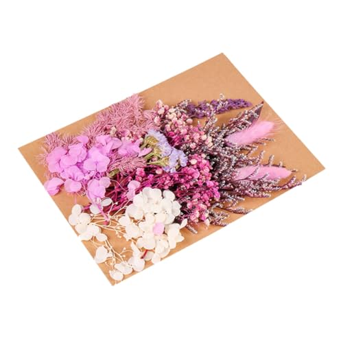 Kit de flores secas para manualidades y decoración miniatura 1