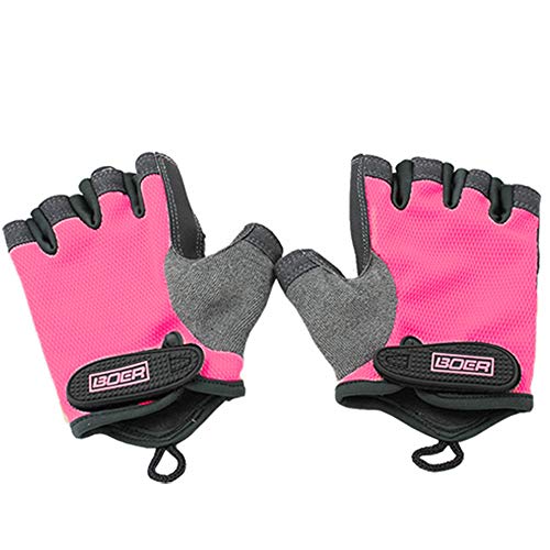 BOER g[jOO[u fB[Xp (sN, L)