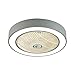22"Okrągły wentylator sufitowy - z białymi oświetleniem LED - Wentylatory sufitowe z oświetleniem - Akrylowy - Przyciemniany Wentylator Wentylator Sufitowy LED - 3 kolory - z pilotem (Color : Gray)