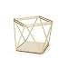 Umbra Prisma Accessory Organizer - Geometric Jewelry Organizer and Jewelry Holder, Great for Storing and Displaying All Types of Jewelry, Matte Brass