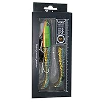 エギ、ワームセット Amazon.co.jp: ジーク(Zeake) ワーム サーフ グラビティーヘッド