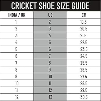 DSC Jaffa 22 Cricket Shoes for Mens