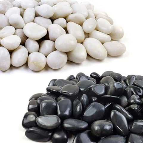 FANTIAN 1-2 inch 5LB White Pebbles and Black Pebbles for Indoor Plants,Decorative Rocks for Planters, Vase, Fish Tank and Outdoor Landscaping Cover