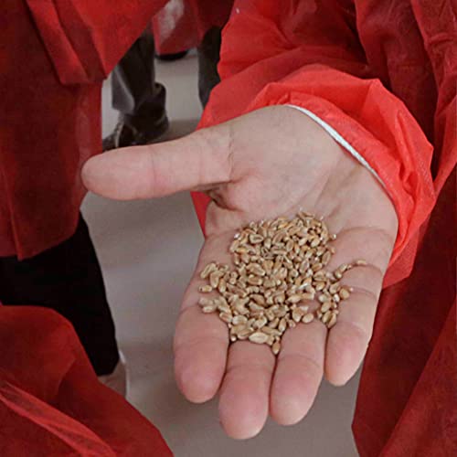 Caputo Farina Nuvola