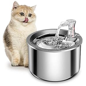 Cat Water Fountain, Stainless Steel Inside Ultra-Quiet Pump, 2L/67oz Automatic Dog Dispenser Water Bowl, Multiple Pets Water Fountain