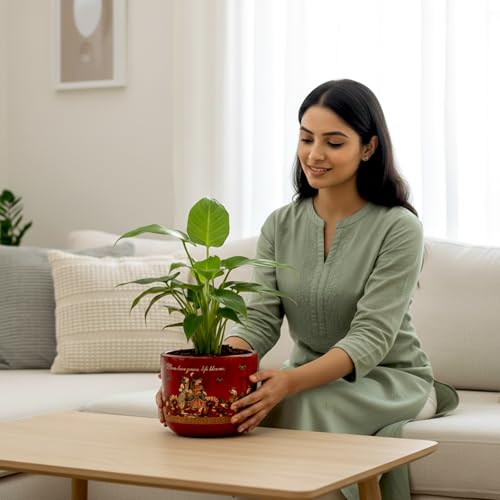 Image of Urban Plant Sahnayi Red 3D Terracotta Plant Pot | Hand-Painted Traditional Art Planter | Decorative Indoor Clay Pot with Drainage Hole | Tabletop Flower Pot for Home & Office Decor
