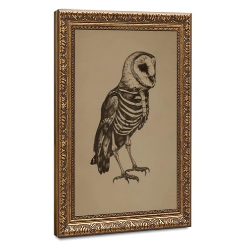 Poster hibou squelette gothique vintage sur toile de 50,8x76,2 cm