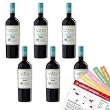 VINOX