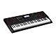 Casio CT-X3000 Top Keyboard mit 61 anschlagdynamischen Tasten, 800 Sounds & 235 Begleitrhythmen, Pitchwheel, schwarz