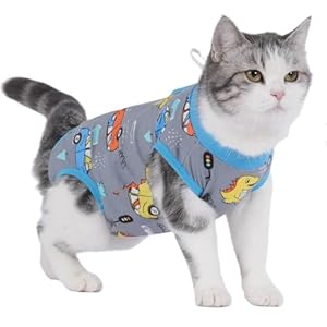 Cat Surgery Recovery Suit Professional for Surgical Abdominal Wound Or Skin Diseases E-Collar Alternative for Cats After Surgery Wear Pajama Suit (Gray, Medium)