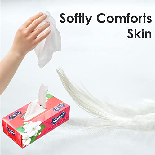 Image of Feather's Facial Dry Tissue 600 Pulls Super Soft & Super Absorbent Paper 2 Ply Pure Tree Pulp Made of Virgin Paper Biodegradable Face Tissue Wipes - 100 Pulls Per Pack (Pack of 6, Random Color Box)