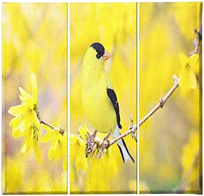 Homemania HM203PKNV-281 Bird Picture - 3 Pieces - Animals - Living Room/Bedroom - Multi-Coloured Polyester, Wood, 69 x 3 x 50 cm