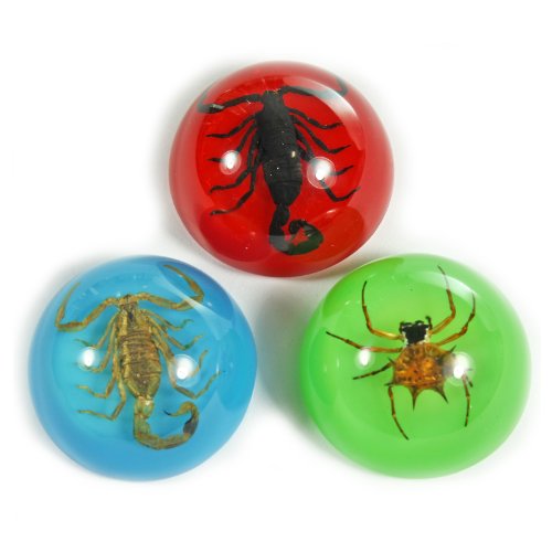 Set de 3 imanes Scorpion y Spider 1.1 pulg miniatura 1