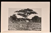 In wildest Africa,: By C.G. Schillings, Tr. by Frederic Whyte. With over 300 photographic studies direct from the author's negatives, taken by day and night; and other illustrations B000855DKE Book Cover