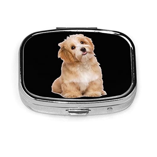 sP[X P[X ^   킢  K ݖYh~ RpNg gїp ^т₷  萮 ֗ [P[X KP[X  wցElbNXERElW[ ^[P[X 