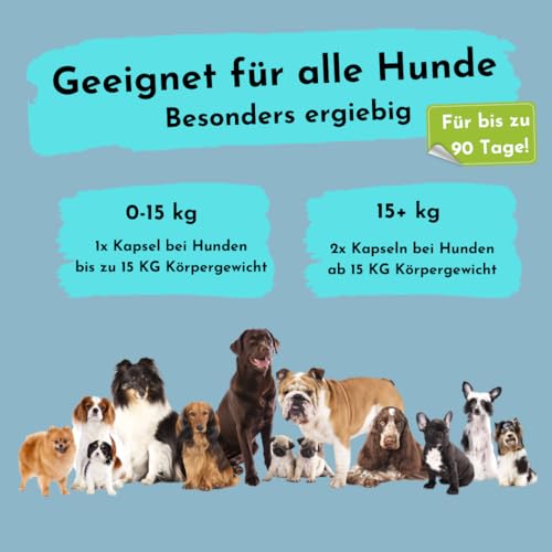 Magnesium für Hunde - kann zur Stressreduzierung und Entspannung beitragen, ohne unerwünschte Zusätze in Premium Qualität, kann einen lockeren Muskeltonus und das Nervensystem unterstützen
