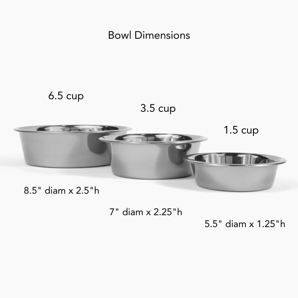 Hiddin Single Elevated Dog Bowl Stand for Small or Medium Dogs, All Breeds, Bronze Acrylic 5 Inch Raised Dog Bowl Stand with a Stainless Steel Bowls for Food or Water - 6.5 Cup Dish