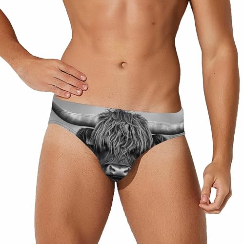 Black and White Highland Cow Printed Swim Briefs for Men Sexy Bikini Swimwear Elastic Beach Trunks Bathing Suit