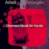 Händler für digitale Musik