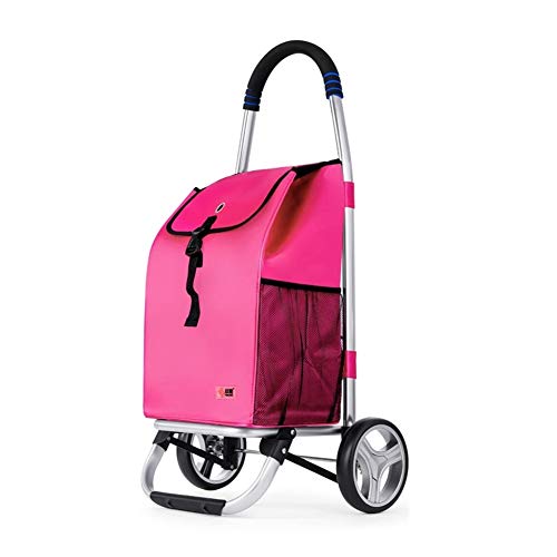 Carretilla Plegable Ligera para Compras con Bolsillos Laterales miniatura 1