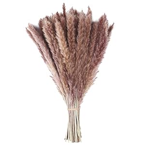 Dried Pampas Grass 100 Stems, Fluffy Pompous Boho Reeds, Natural Brown Pampasgrass Bouquet for Wedding Farmhouse Rustic…