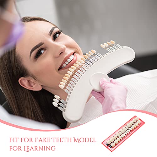 Nuanchu NUANCHU-TOOTH KIT-09 4 Sets Acrylic Resin Fake Teeth Denture Replacement Teeth False Teeth Teeth Upper And Lower Synthetic Resin Teeth thumb #6