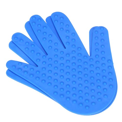 LAPYAPPE `g[jO F  V pi m⏕ Ɩڂ̘Agi CeA