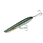 Green Mackerel