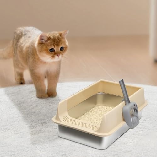 Katzentoilette – graues Tablett aus PP & Edelstahl 39,75 x 40,8 x 19,81 x 17,48 cm, Schaufel für eine einfache Reinigung, Geruchskontrolle im Innenbereich | Kätzchen für Toilette