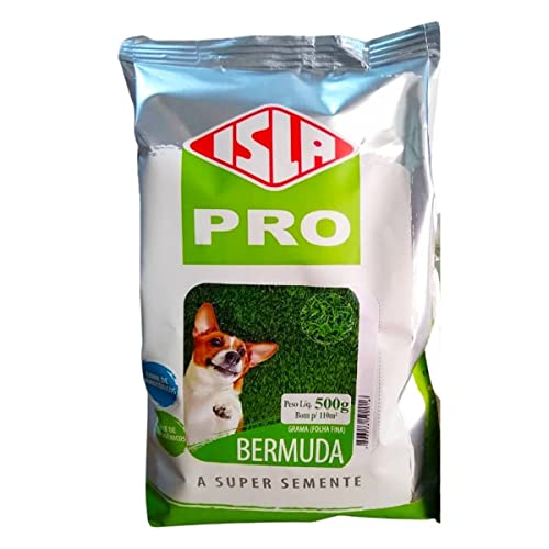 Sementes grama bermuda folha fina (500g) Rende 110m2 ISLA
