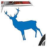 Allrounder: Bei uns gibt den passenden Sticker für Ihr Auto, Motorrad, Wohnwagen, Wohnmobil, Camper, SUV oder Roller. Wir haben lustige Sprüche, fürs Tuning, Cartoons, Baby an Bord, Drachen usw.. Für jeden Geschmack und Fahrzeugtyp den passenden Sticker.