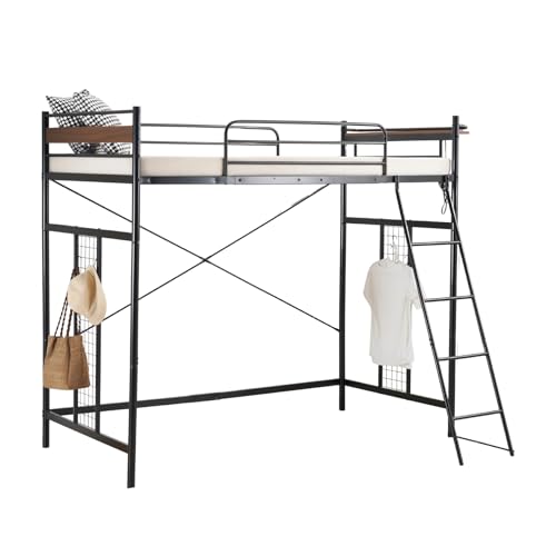 SOFTSEA tgxbh VO bVpl RZgt X`[ 3iK\ [^Cv ~h^Cv nC^Cv v  ω׏d150kg l qp  ȃXy[X t[̂ (ubN)