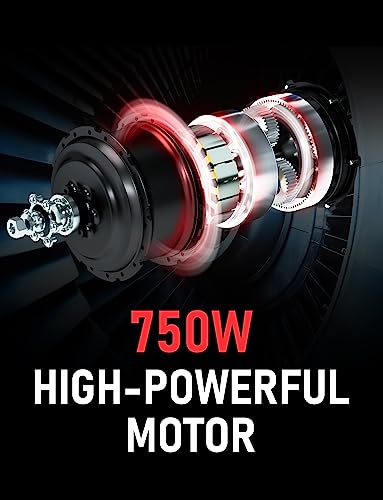 Hipeak Bona Electric Bike For Adults, Ebike 750W/48V/15Ah, 20" X 4.0" Fat Tire Electric Bike Folding With Removable Battery, Step-Over Folding Adult Electric Bicycles Dual Shock Absorber #TOP2