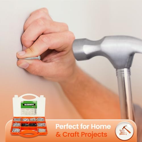 Brackit 2,000 Piece Nail Assortment Set with Storage Case – Including Wire Nails, Brad Nails & Tacks - For DIY, Craft, Masonry, Woodwork, Décor 4 Brackit 2,000 Piece Nail Assortment Set with Storage Case – Including Wire Nails, Brad Nails & Tacks - For DIY, Craft, Masonry, Woodwork, Décor - Image 4