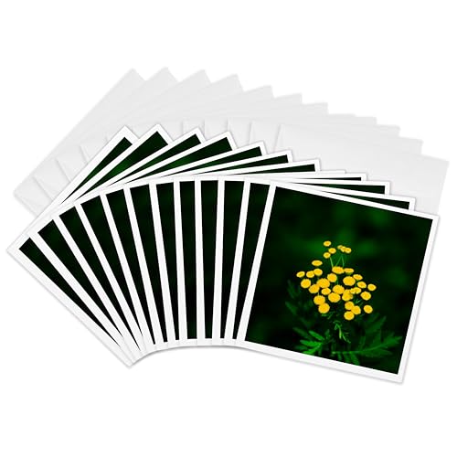 Carte de vœux 3drose 15,2 x 15,2 cm correspondance anniversaire mariage GC 267228 _ 2