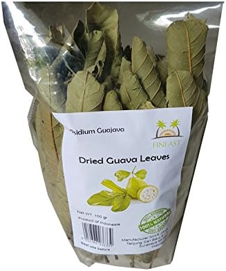 FINFAST Dried Guava Leaves (Psidium Guajava) (3 Oz, 100+ Leaves)