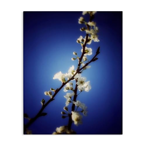 Stupell Industries White Tree Blossom Floral, 24 x 30 Inch Canvas Wall Art