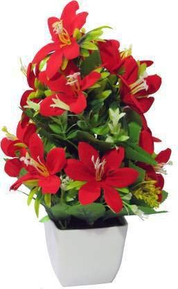 ENDECOR Beautiful red Lily with Pot Pack of -1