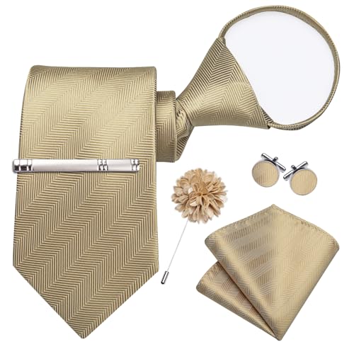 Image of DiBanGu Silk Zipper Ties for Men, Formal Pre-tied Necktie | Adjustable Tie,6PCS,Various Design Styles,Jacquard Woven,Skin-friendly,Practical Gift,Great for Wedding Party,Business Formal