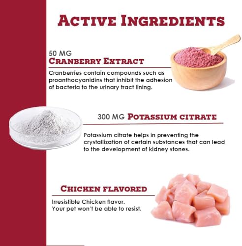 Image of K-Plus Potassium Citrate + Cranberry Granules for Dogs & Cats - Vet-Approved UTI & Bladder Health Support - Helps Maintain Urinary Balance & Kidney Function - Easy-to-Use Granules - 60 Doses