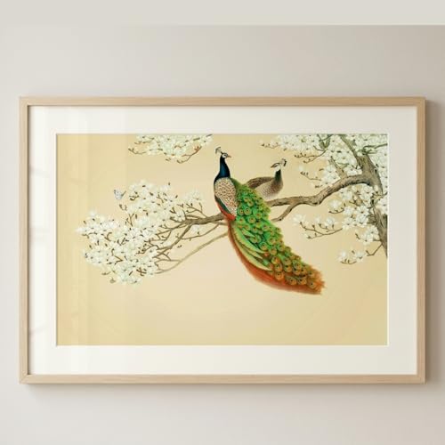 Image of Fabulous Landscape Beautiful Peacock wall Poster for Home Decor, Living Room, Bed Room, Kids Room, Play Room, Restaurant, Hotel (Self Adhesive Vinyl, Water Proof) (36 x 22.5 Inch)