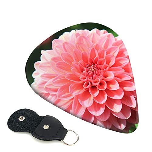 M^[sbN 6Zbg 0.46mm 0.71mm 0.96mm GLM^[ x[XpsbN EN M^[ ABSf GNgbN AR[XeBbN y S gCAO sbNi sNF̃_Ả j